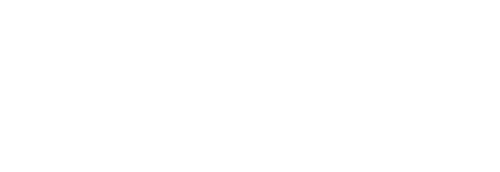 AY Strategy — Winning Intelligence